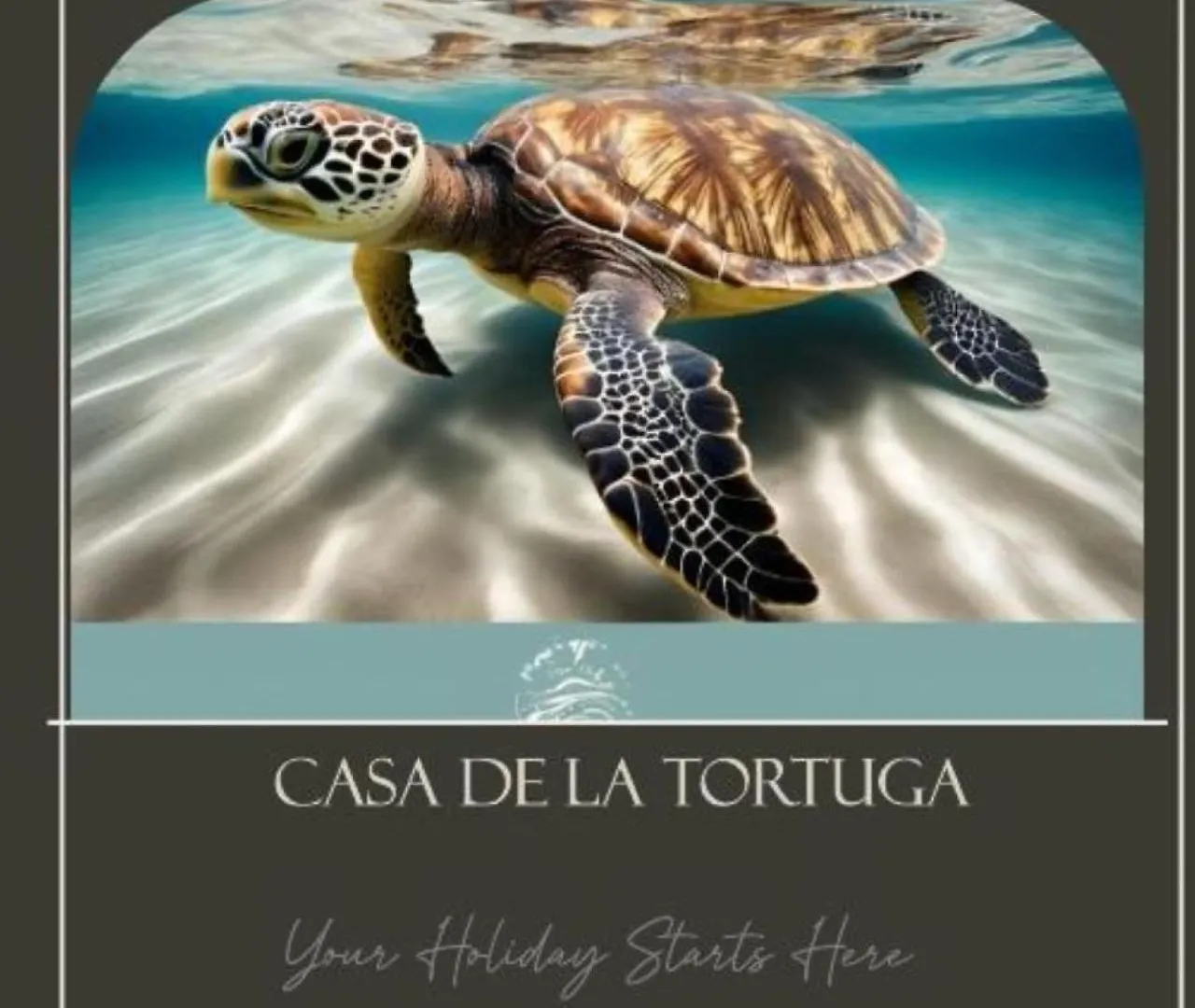 Casa De La Tortuga Apartment Costa De Antigua